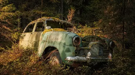 عکس ماشین قدیمی و کلاسیک داخل جنگل و رشد گیاهان داخل آن فول اچ دی