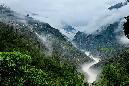 عکس جالب از مه در کوهای بلند وسبز هند مناسب لپتاپ 
