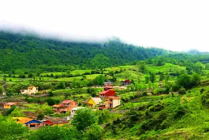 عکس جاده شمال تو ماشین