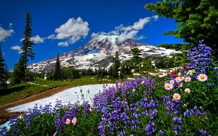 تصویر منظره شگفت انگیز کوهستان در بهار مخصوص پروفایل 