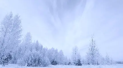 دانلود عکس زمستانی با کیفیت بالا 4k