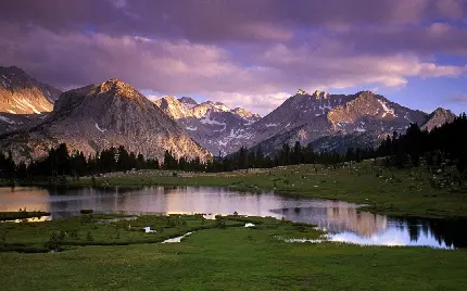 پروفایل آسمان بنفش ابری در دشت های سرسبز اسکاندیناوی 	