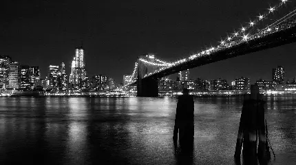 عکس هنری پل مشهور بروکلین در شب برای پست اینستاگرام