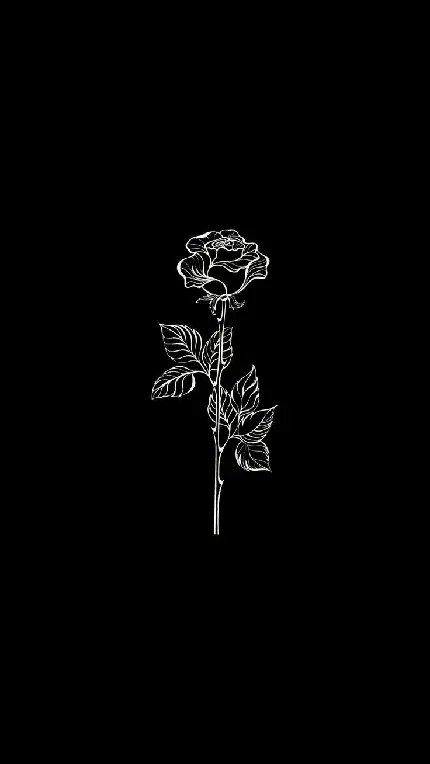 زیباترین عکس زمینه سیاه و سفید با طرح گل برای گوشی موبایل