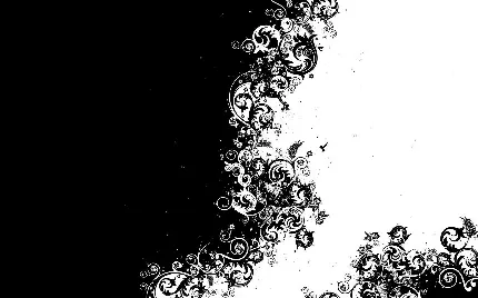 عکس جذاب سیاه و سفید FULL HD 
