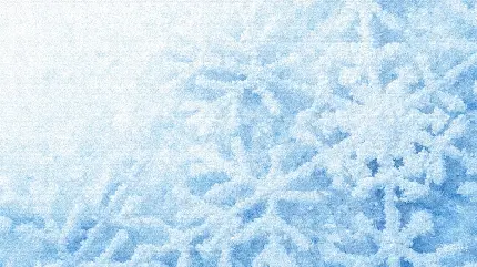 تصویر شکل دانه های برف برای دسکتاپ