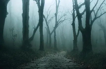 تصویر زمینه جنگل ترسناک با جاده های سنگفرش شده کهنه و قدیمی