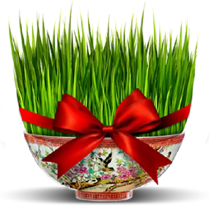 چاپ پوستر عکس png بدون زمینه از سبزه عید با ربان قرمز رویایی