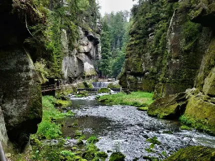 عکس رودخانه ی و طبیعت جمهوری چک