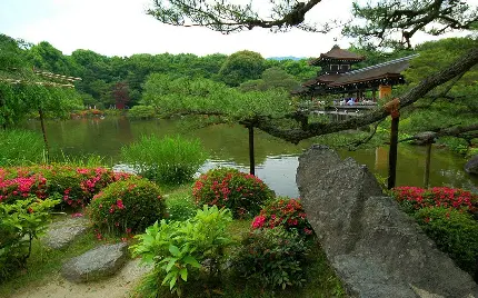 والپیپر طبیعت و دریاچه در ژاپن