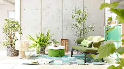 چاپ پوستر عکس تراز به سبک گیاهان آپارتمانی