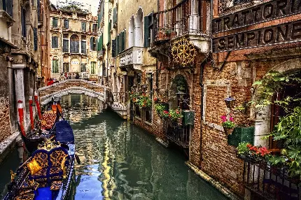 تصویری زیبا از شهر ونیز ایتالیا