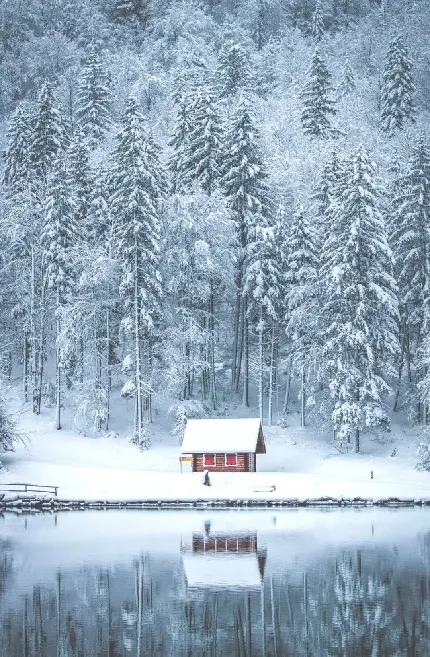 عکس طبیعت زمستانی و تصویری زیبا از طبیعت در زمستان
