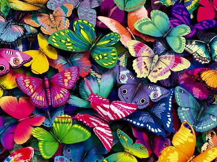 عکس صدها پروانه رنگارنگ برای بک گراند با کیفیت بالا HD