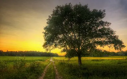 عکس طبیعت بهاری واقعی و پس زمینه بهاری برای نوشتن متن