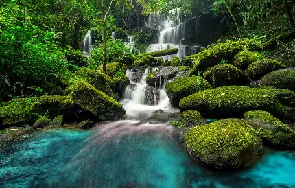 بهترین عکس آبشار سنگی منتهی به رودخانه در جنگل انرژی بخش 