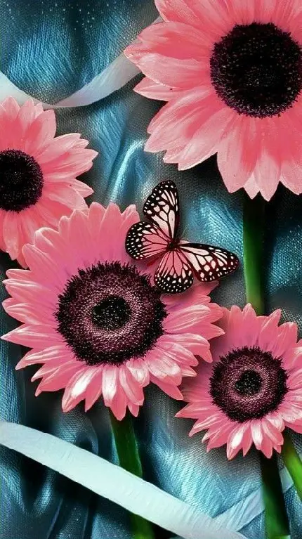 عکس گل و پروانه صورتی مخصوص تصویر زمینه زیبا با کیفیت عالی