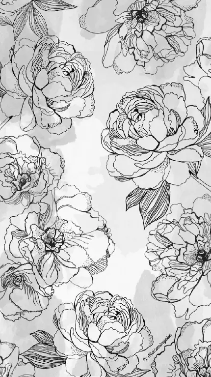 خوشگل ترین Wallpaper سیاه سفید آیفون با طرح گل