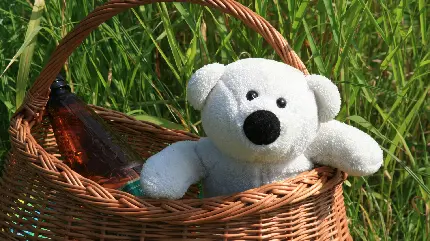 نمای تماشایی از عروسک خرس سفید در سبد برای زمینه