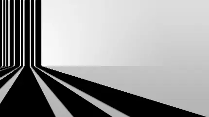 عکس سایه با رنگ سیاه و سفید