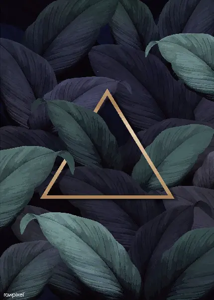 Background رایگان مثلث طلایی بین برگ سبز گیاهان