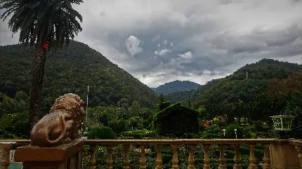 عکس جاده شمال تو ماشین