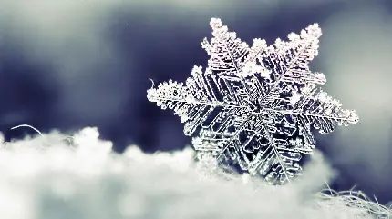 عکس دانه برف از نزدیک مناسب برای تصویر زمینه و پروفایل