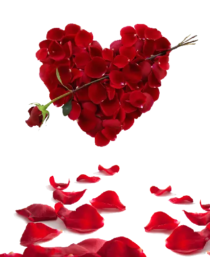 عکس قلب قرمز خوشگل کوچک