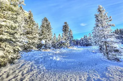 عکس طبیعت زمستانی کانادا 4K