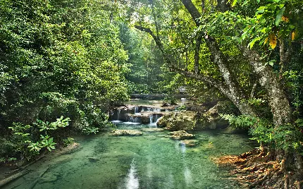 عکس رودخانه زیبا