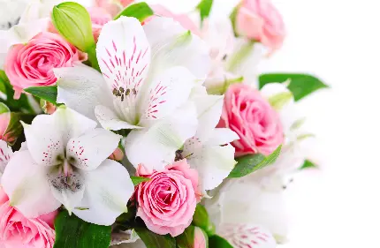 عکس دسته گل خواستگاری فیک با گل های طبیعی و مصنوعی 