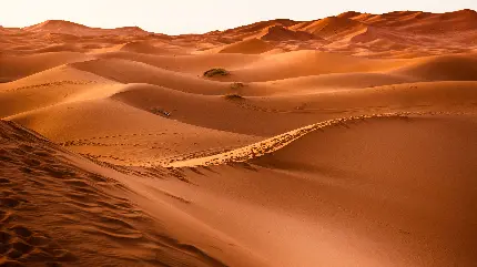 تصویر طبیعت زیبا واقعی صحرا مراکش با کیفیت فوق العاده