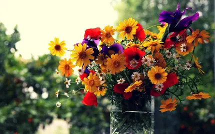 عکس استوک دسته گل طبیعی گل های ظریف و کوچک با رنگ های شاد