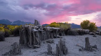 دیدنی ترین منظره طبیعت ماسه‌ای جالب توجه زیر آسمان بنفش