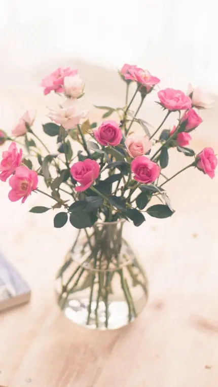 زیباترین زمینه موبایل طرح گل سفید و صورتی در گلدان