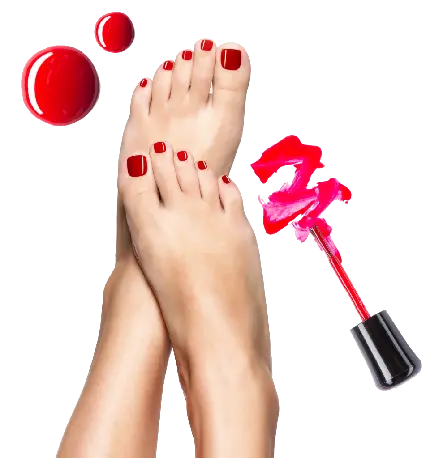 بهترین تصویر دوربری شده png لاک پا به رنگ قرمز ناب