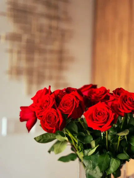عکس هنری جالب توجه از دسته گل رز قرمز ناز در گلدان 