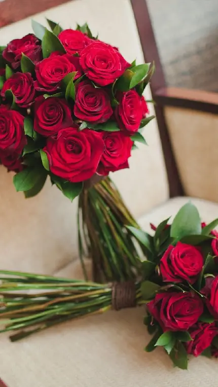 والپیپر دسته گل رز قرمز عاشقانه با کیفیت عالی برای گوشی آیفون