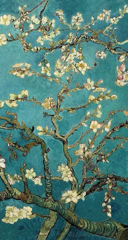 والپیپر و پس زمینه نقاشی شکوفه های بادام ونسان ونگوگ برای گوشی