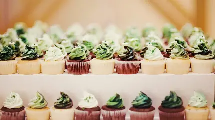 کاپ کیک وانیلی شکلاتی با تزئین خامه سبز مناسب دسر