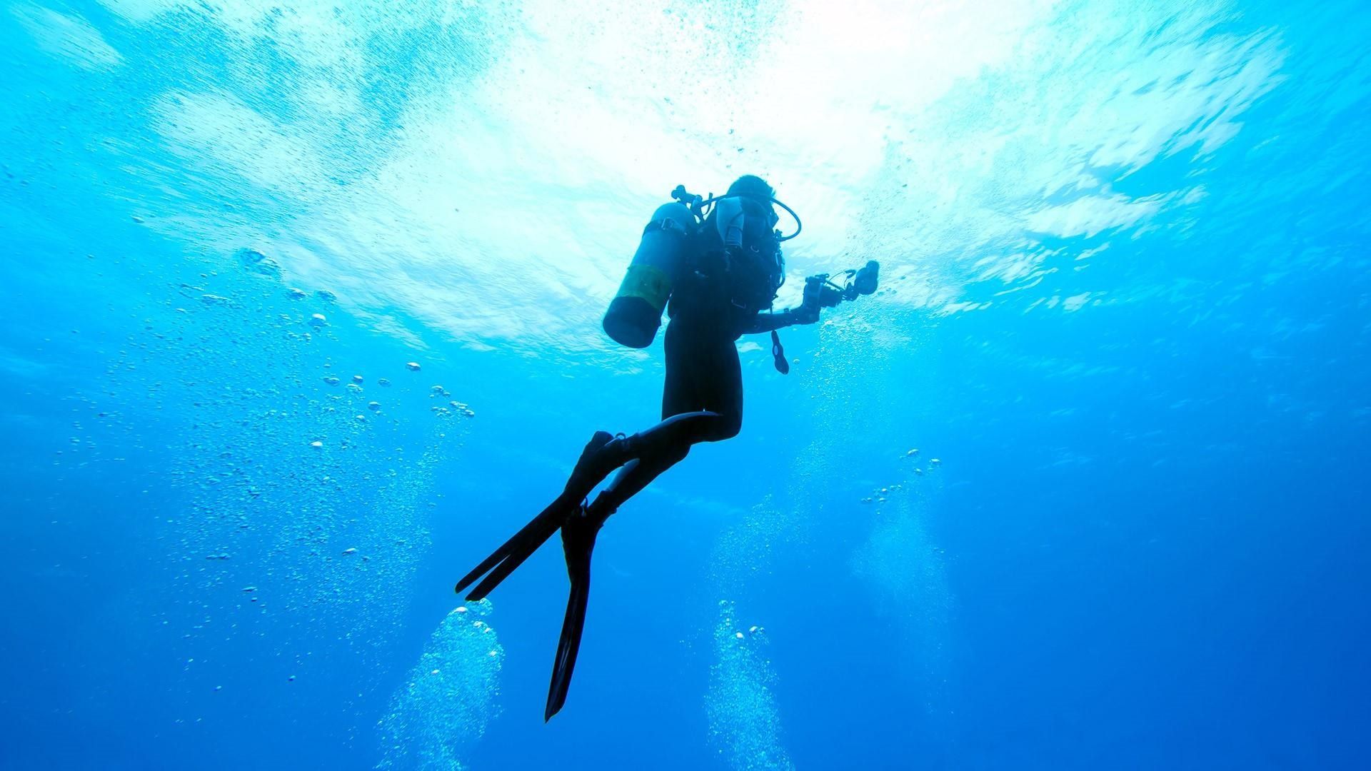عکس استوک غواص حرفه ای زیر آب در کیفیت Full HD