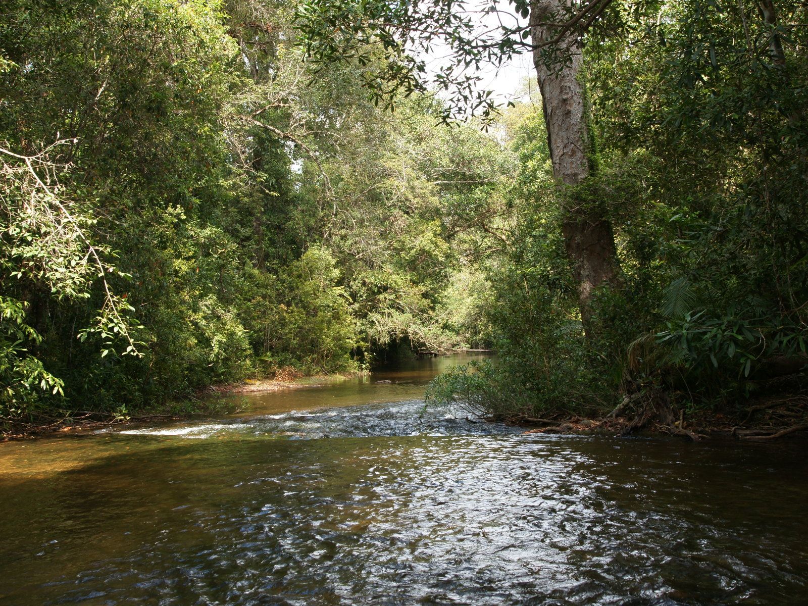 بک گراند خوشگل از طبیعت رودخانه مخصوص سامسونگ 
