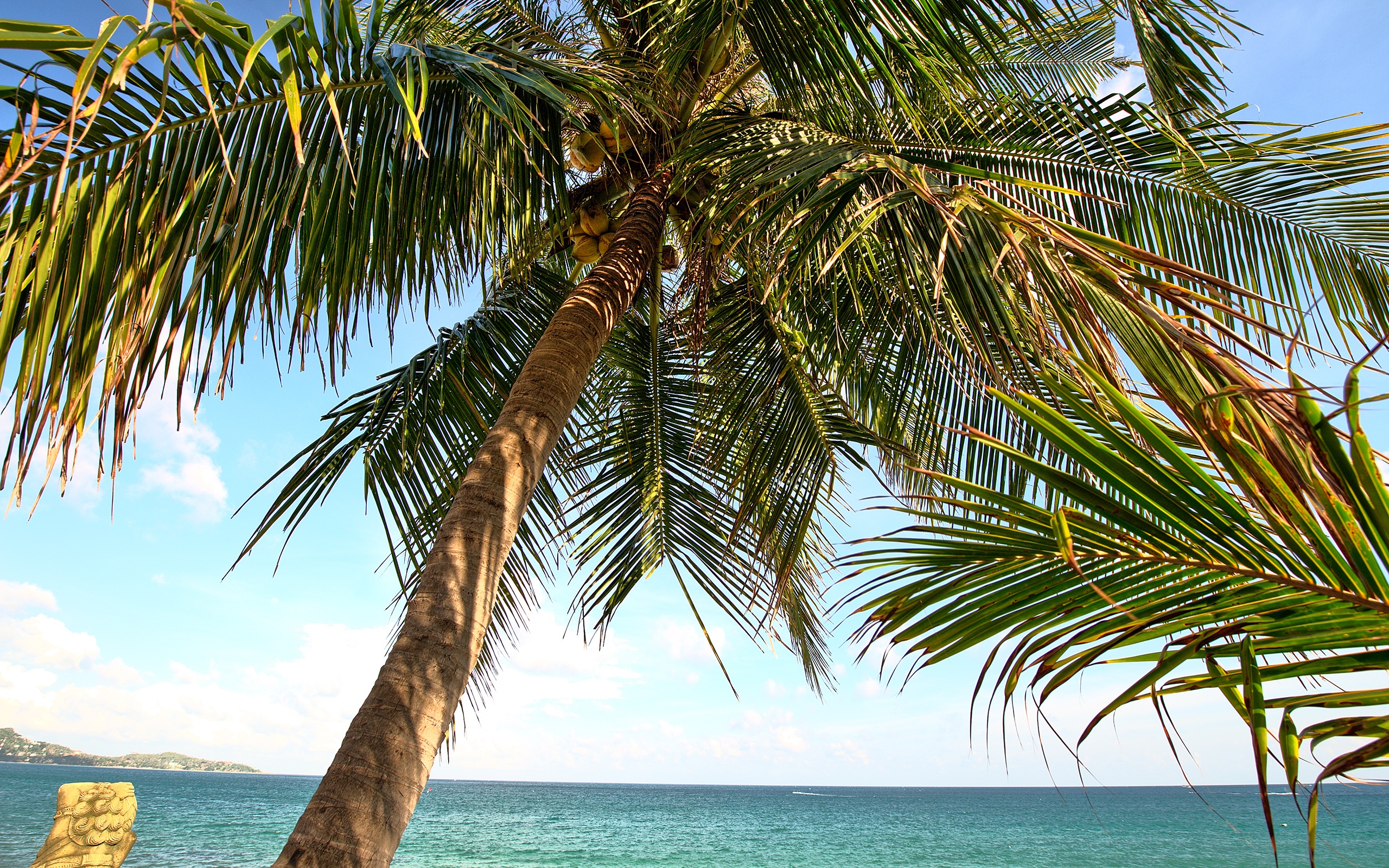 والپیپر درختان نخل در ساحل طراوت بخش دریا در یک نمای هنری