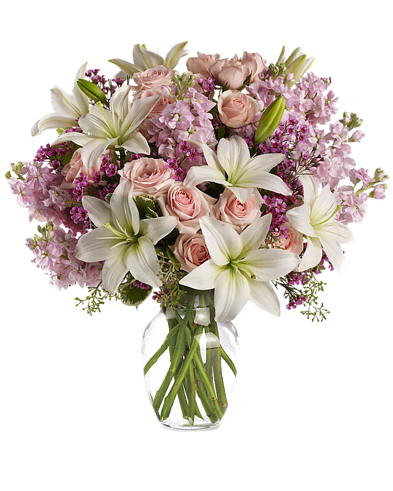 png دسته گل متنوع و خوشگل برای کارهای گرافیکی png دسته گل متنوع و خوشگل برای کارهای گرافیکی