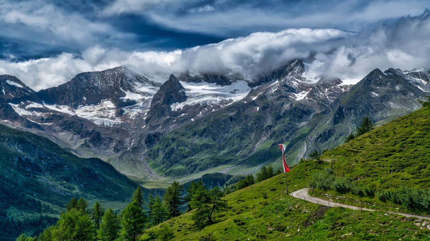 تصویر زمینه 4K جنگلهای طبیعت سوئیس
