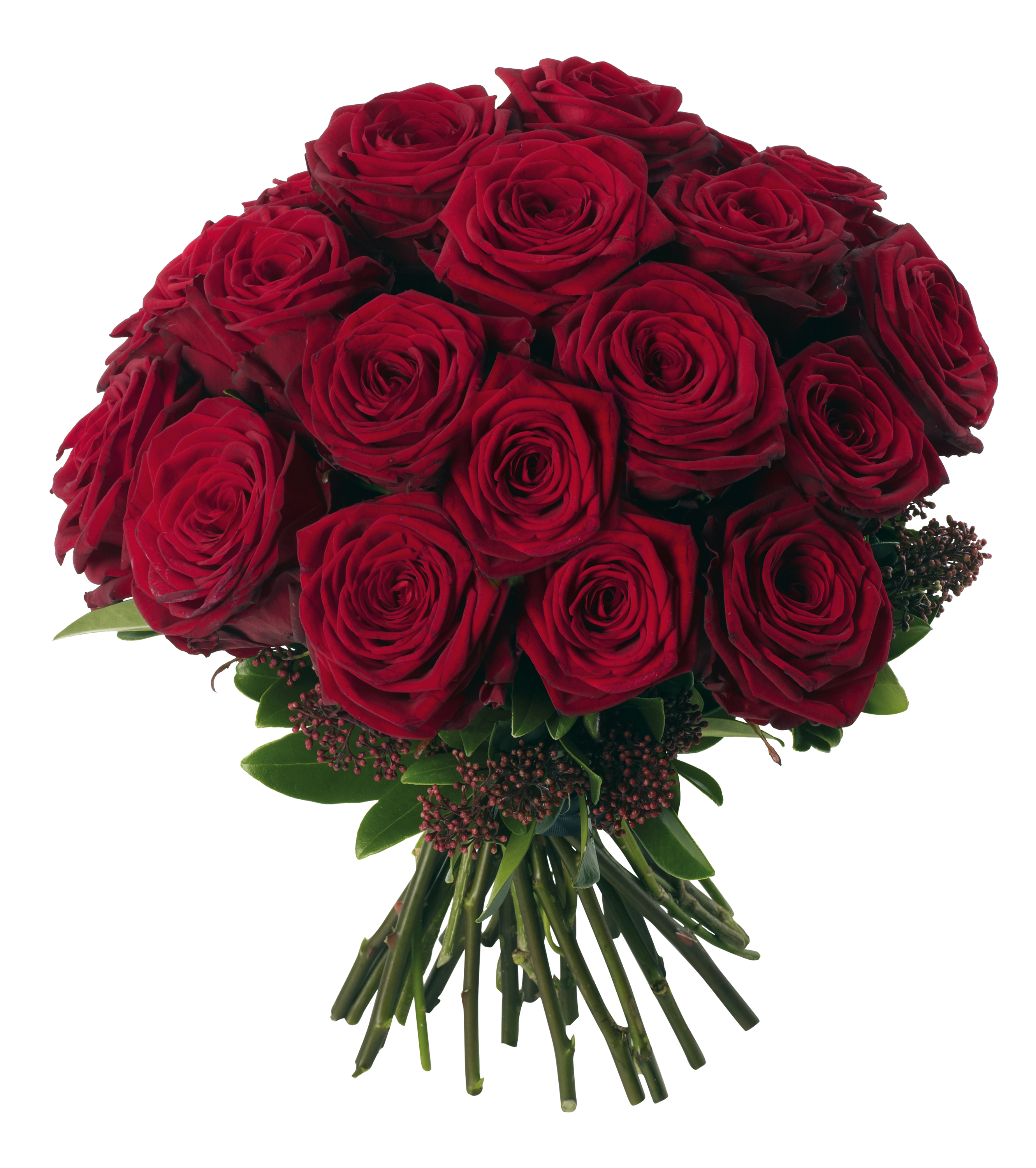 عکس دسته گل رز قرمز به صورت دوربری شده رایگان