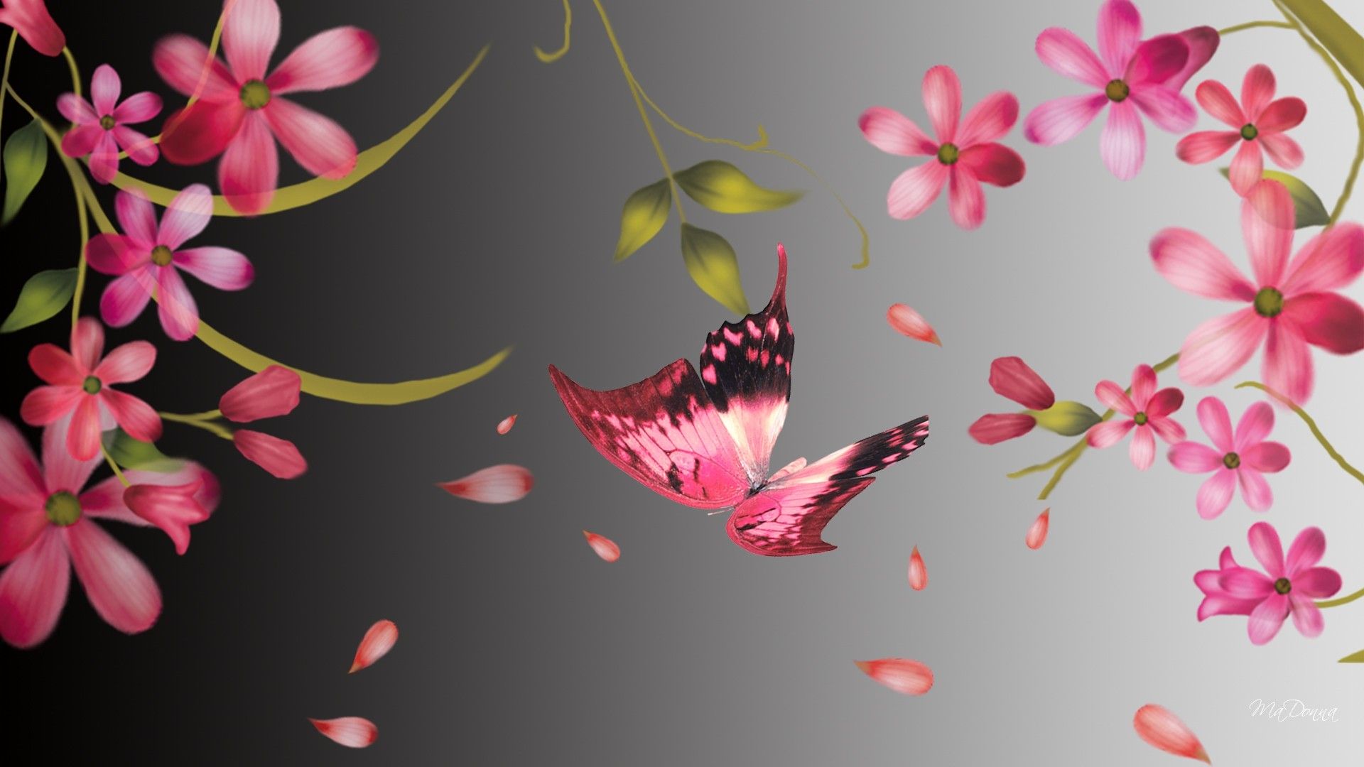 بک گراند گرافیکی بهار زیبا با تم گل و پروانه صورتی