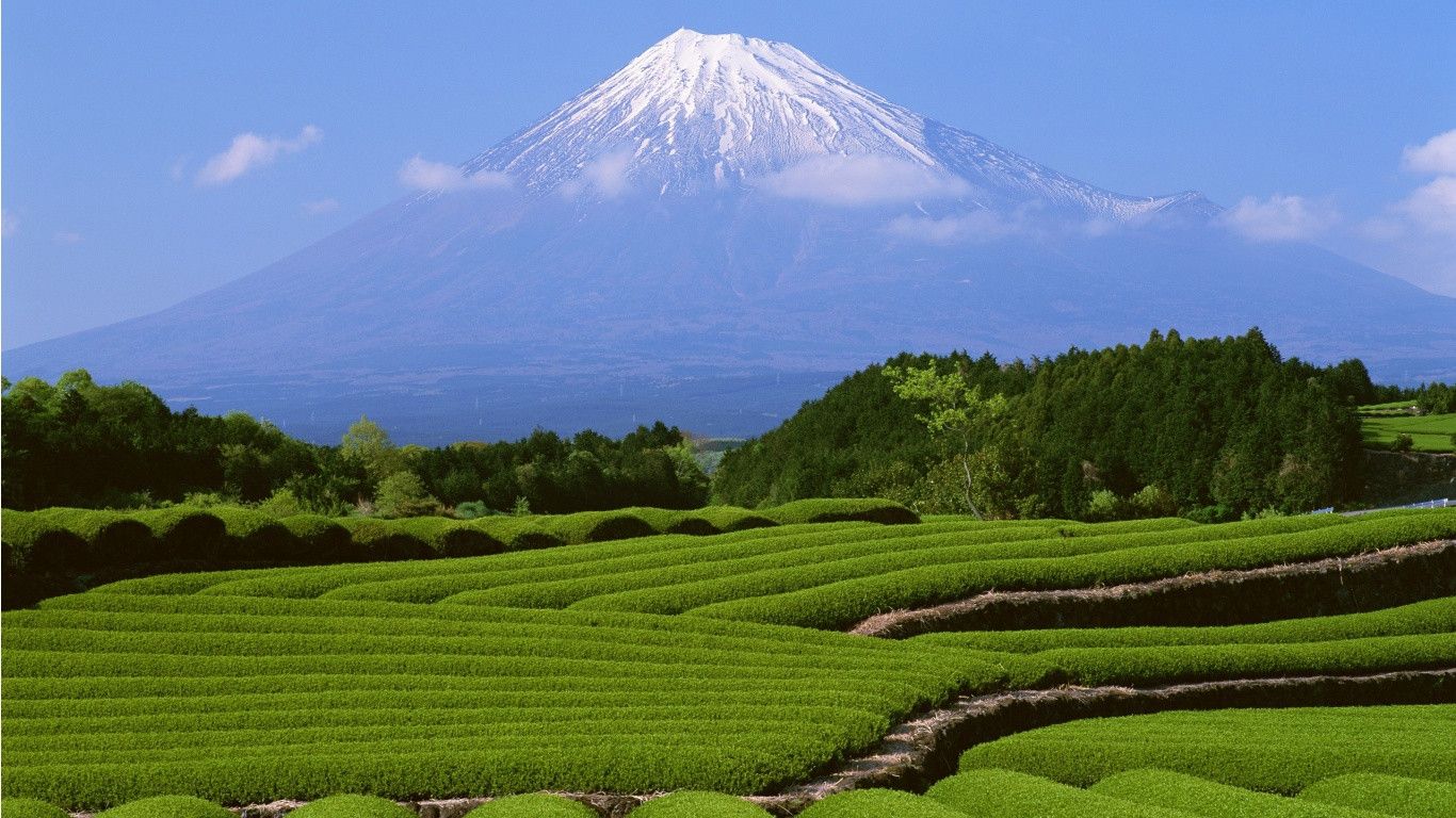 عکس مزرعه و طبیعت ژاپن