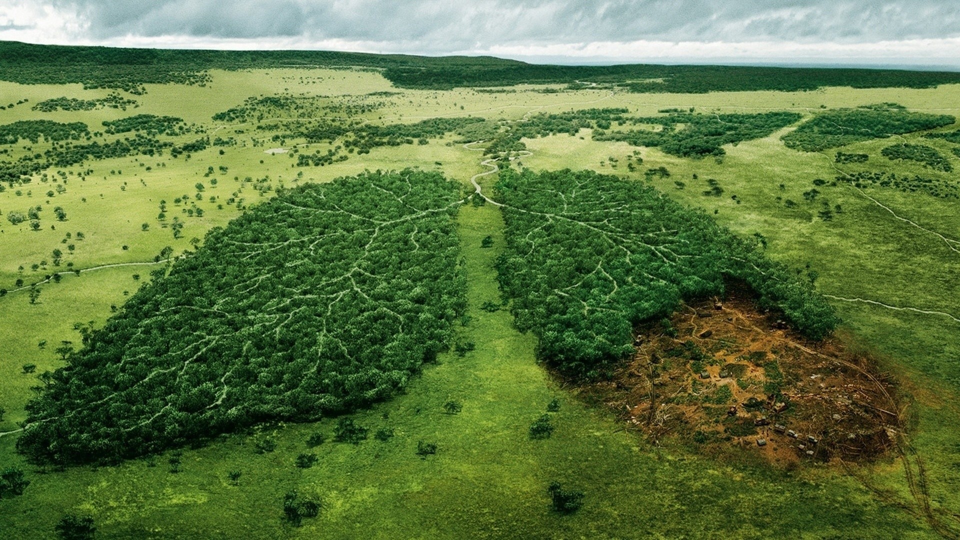 عکس پروفایل تماشایی حمایت از محیط زیست با طرح جنگل و درختان ریه های زمین