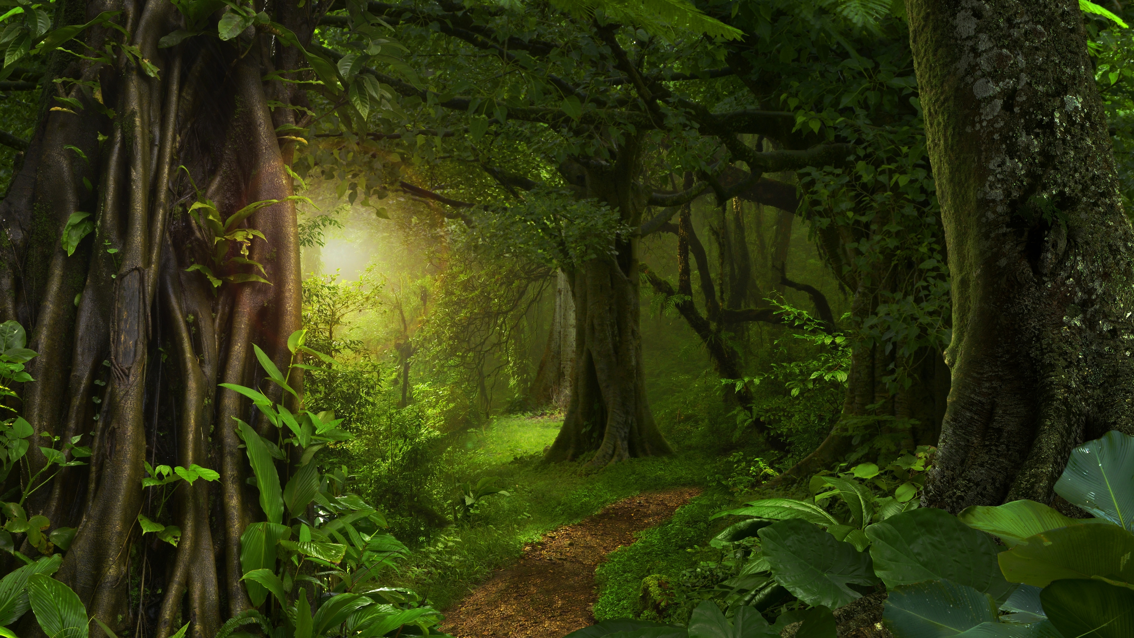 تصویر زمینه جنگل جادویی با وضوح Ultra HD 3840 x 2160